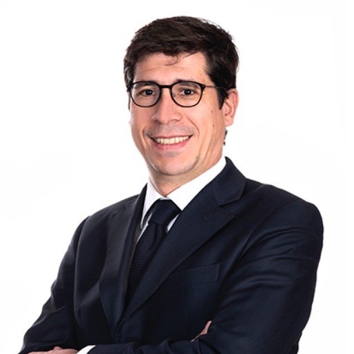 Henri-Louis Delsol, Delsol Avocats