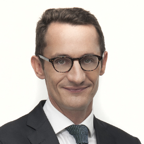 Pierre Gougé, Delsol Avocats