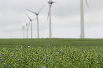 Champ vert avec 6 éoliennes en ap - 600